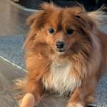 Ersteller:in Sarah Profilbild