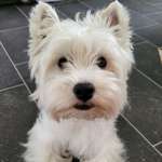 Ersteller:in Jess Profilbild