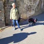 Ersteller:in Henni Profilbild