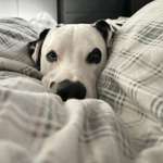 Ersteller:in Andrea Profilbild