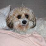 Ersteller:in Melissa Profilbild