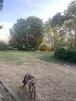 Hundeauslaufgebiet-Bayrischer Bahnhof-Bild