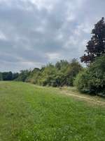 Hundeauslaufgebiet-Neue Leipziger Straße-Bild