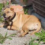 Ersteller:in Georg Profilbild