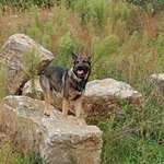 Ersteller:in Adel Profilbild