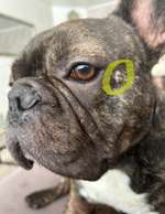 Beule im Gesicht.-Beitrag-Bild