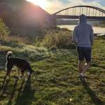 Ersteller:in Jens Profilbild