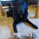 Ersteller:in Diana Profilbild