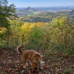 Ersteller:in Jessica Profilbild