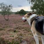 Ersteller:in Rikas_Welt Profilbild