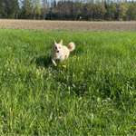 Ersteller:in Celine Profilbild