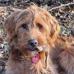 Ersteller:in Fabian Profilbild