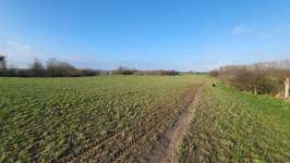 Hundeauslaufgebiet-Auberg-Bild