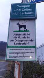Hundeauslaufgebiet-Rheinstraße-Bild