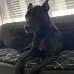 Ersteller:in Natalie Profilbild