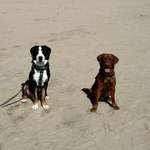 Ersteller:in Hannah Profilbild