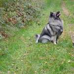 Ersteller:in Jennifer Profilbild