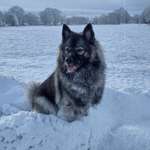 Ersteller:in Jennifer Profilbild