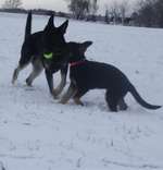 Ersteller:in Hanna Profilbild