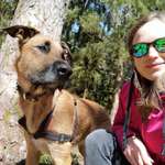 Ersteller:in Sol Profilbild