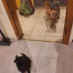 Ersteller:in Susanne Profilbild