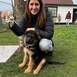 Ersteller:in Franziska Profilbild