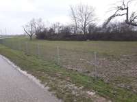 Hundeauslaufgebiet-Pleidelsheim-Bild