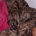 Ersteller:in Eva Profilbild