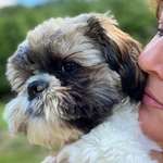 Ersteller:in Monika Profilbild