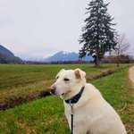 Ersteller:in Nadine Profilbild