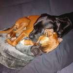 Ersteller:in Vero Profilbild