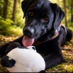 Ersteller:in Anna-Lena Profilbild