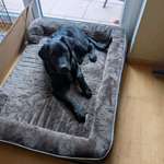 Ersteller:in Anna-Lena Profilbild