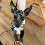 Ersteller:in Michelle Profilbild