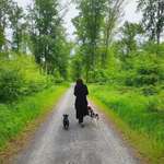 Ersteller:in Alissa Profilbild