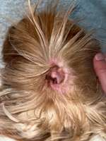 Juckreiz-Beitrag-Bild