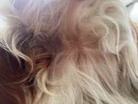 Juckreiz-Beitrag-Bild