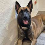 Ersteller:in Lucy Profilbild