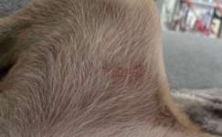 Hautausschlag?-Beitrag-Bild