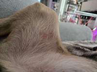 Hautausschlag?-Beitrag-Bild