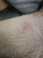 Hautausschlag?-Beitrag-Bild