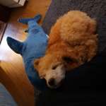 Ersteller:in Mark Profilbild