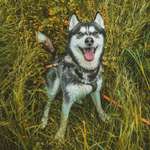 Ersteller:in Thamara Profilbild