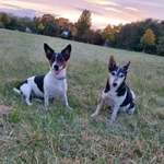 Ersteller:in Sidney Profilbild