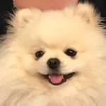 Ersteller:in Iz Profilbild