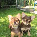 Ersteller:in Jessica Profilbild