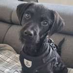 Ersteller:in Annette Profilbild