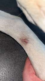 Lan hat eine wunde-Beitrag-Bild