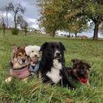 Ersteller:in Carina Profilbild