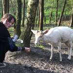 Ersteller:in Hanna Profilbild